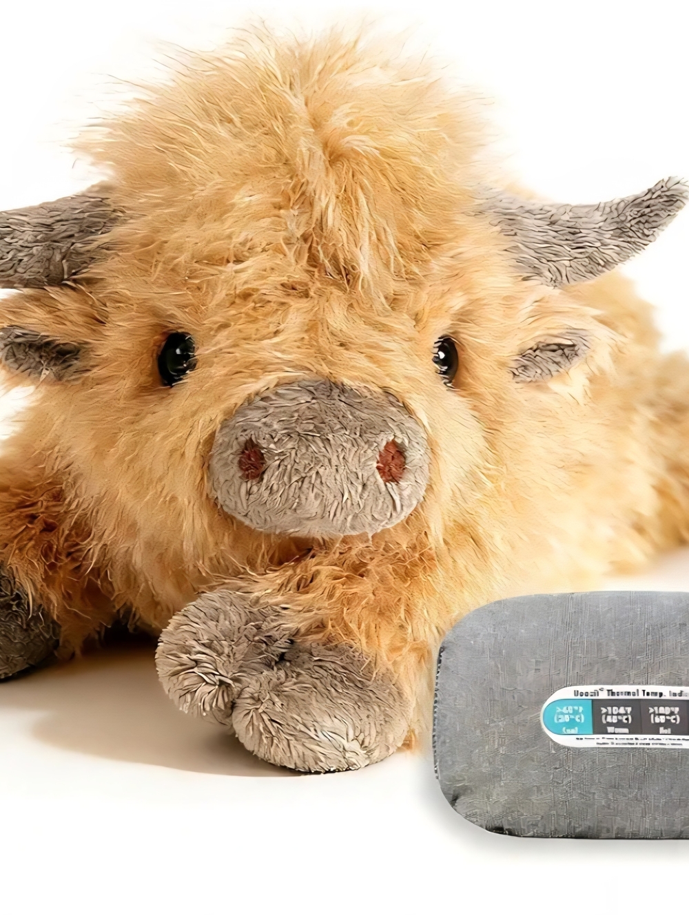 Uoozii Highland Cow